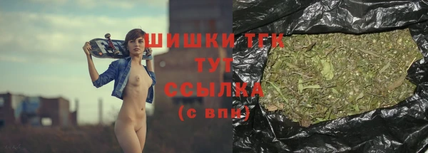 apvp Аркадак