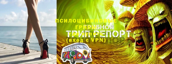 apvp Аркадак