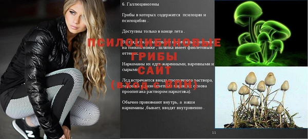 spice Армянск